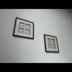 Two glass decor with sandollars and starfish sold in pair or separately